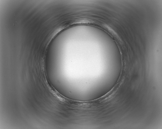 X0000064731329200603031631