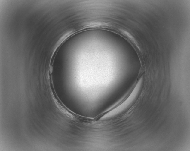 X0000064731330200603031631