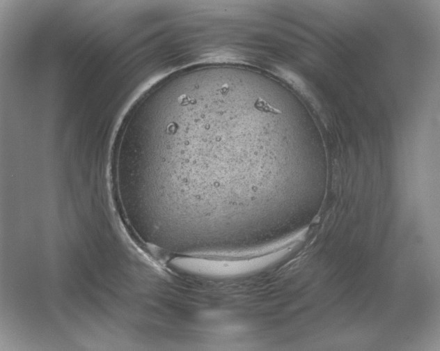 X0000064731331200603031631