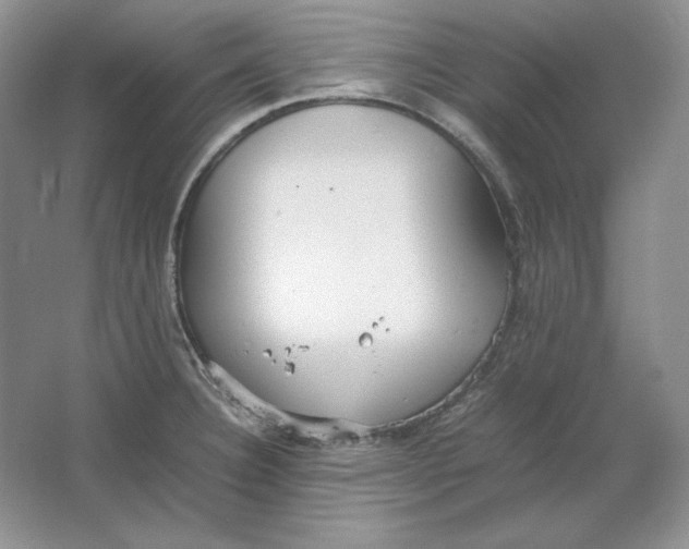 X0000064731332200603031632