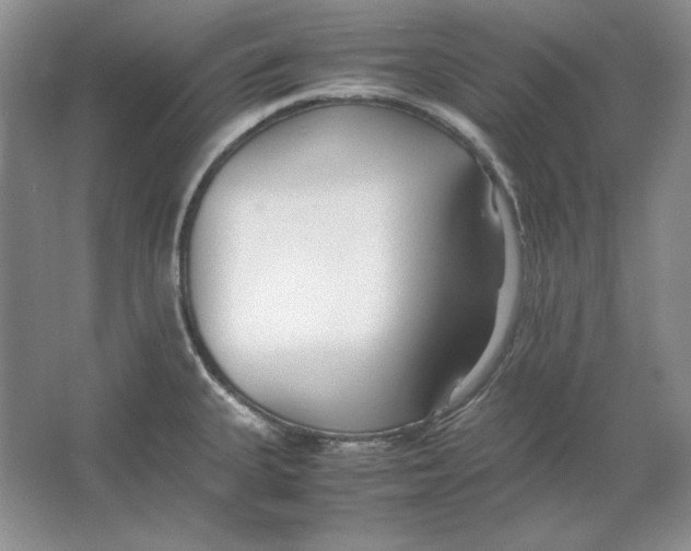 X0000064731335200603031632