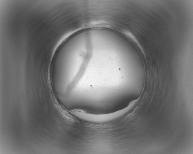 X0000064731336200603031632