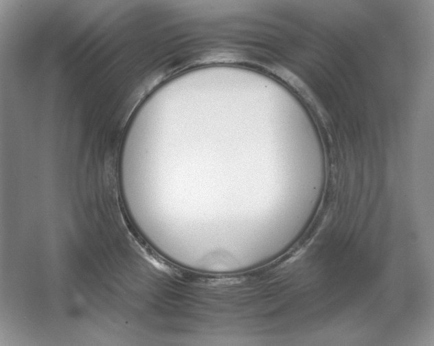 X0000064731337200603031632