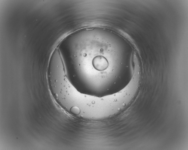 X0000064731338200603031632