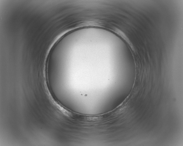 X0000064731339200603031632