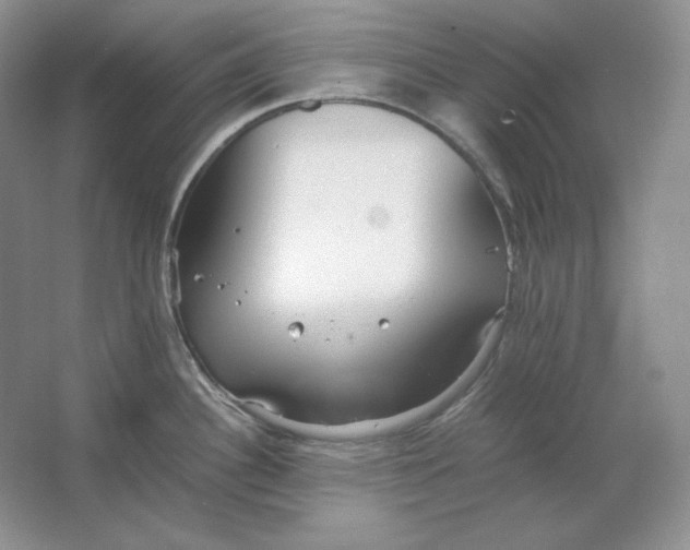 X0000064731340200603031632