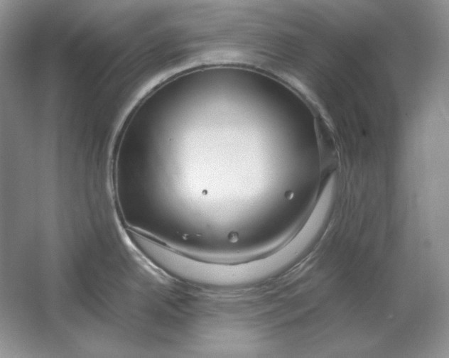 X0000064731342200603031632