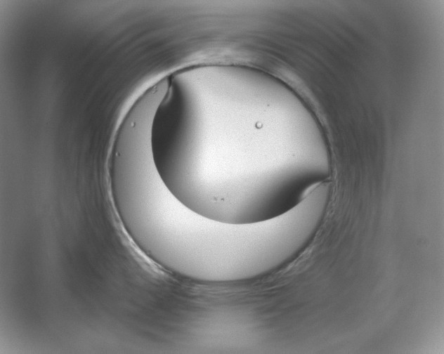 X0000064731344200603031632