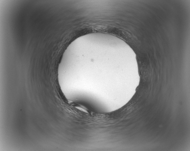 X0000064731345200603031631