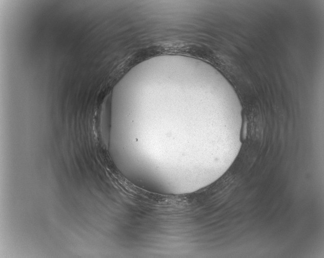 X0000064731346200603031631