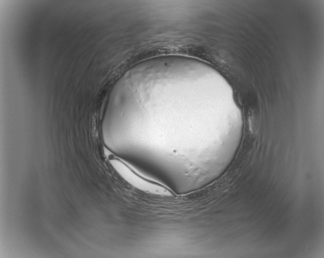 X0000064731347200603031631