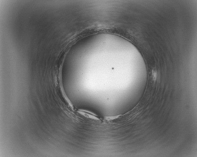 X0000064731348200603031631