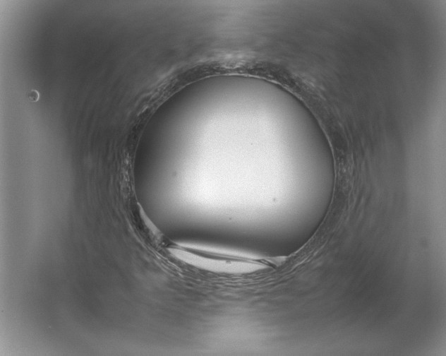 X0000064731349200603031631