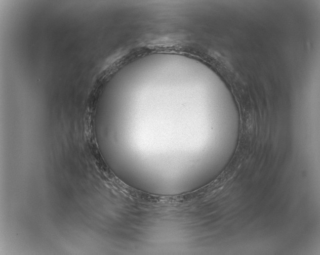 X0000064731350200603031631