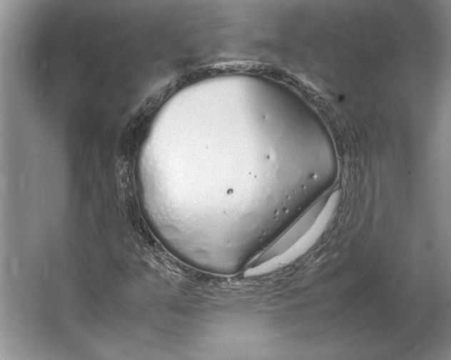 X0000064731351200603031631