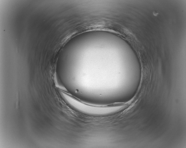 X0000064731353200603031631