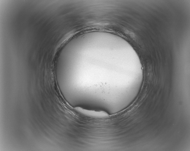 X0000064731354200603031631