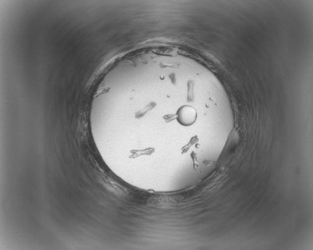 X0000064731355200603031631