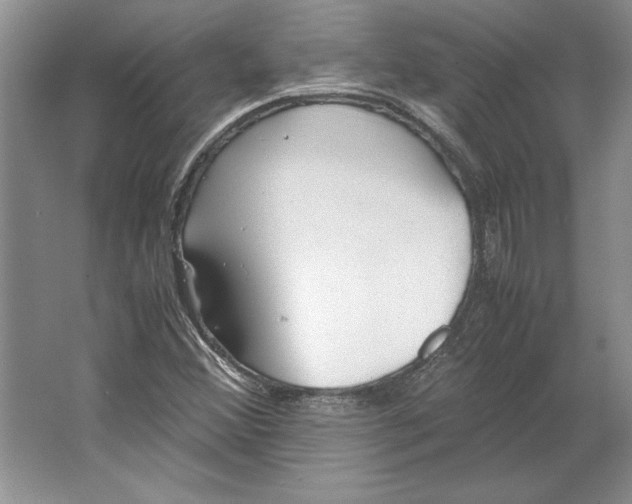 X0000064731356200603031631