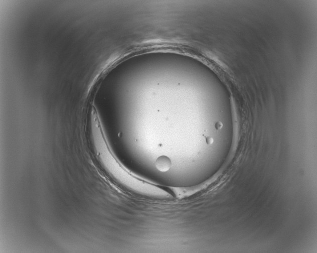 X0000064731357200603031631