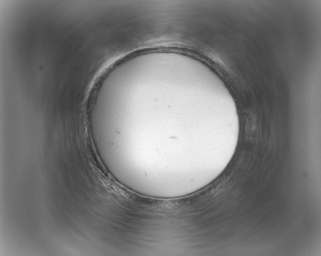 X0000064731358200603031631