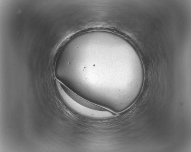 X0000064731359200603031631