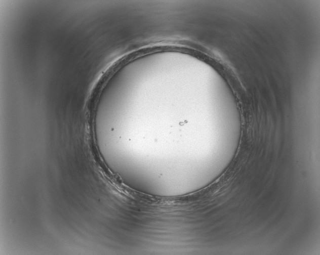 X0000064731360200603031631