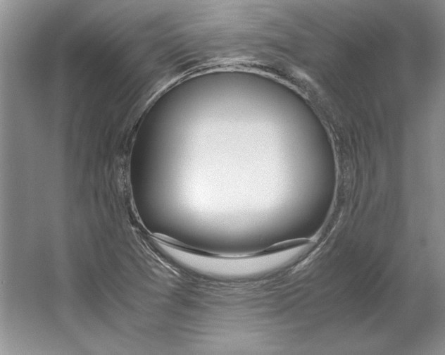 X0000064731361200603031631