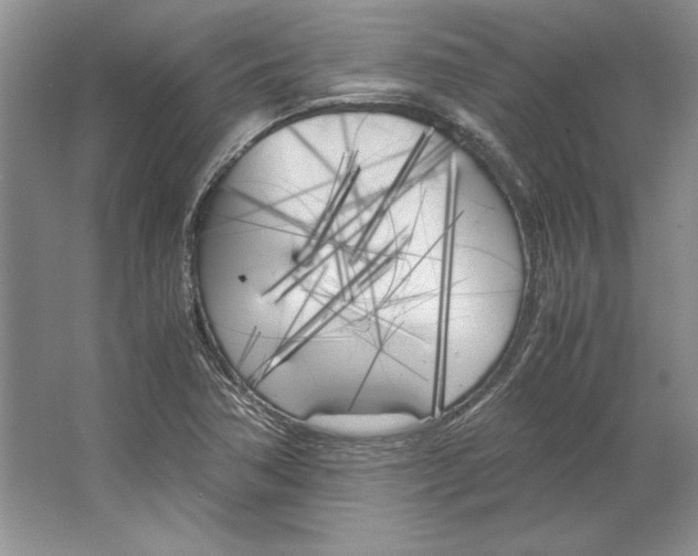 X0000064731362200603031631