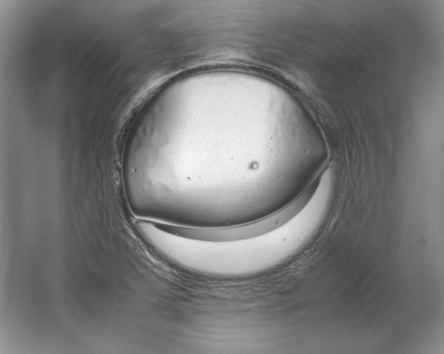 X0000064731363200603031631