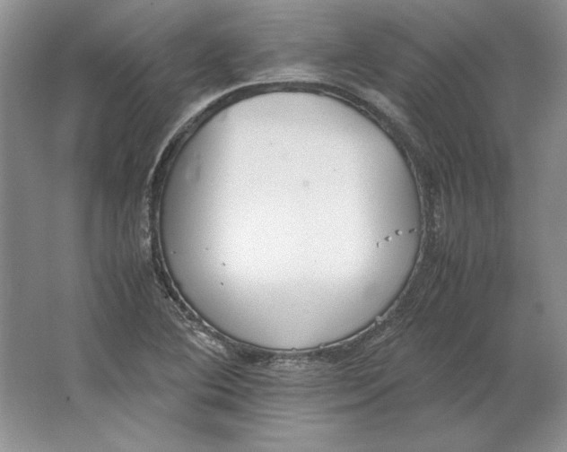 X0000064731364200603031631