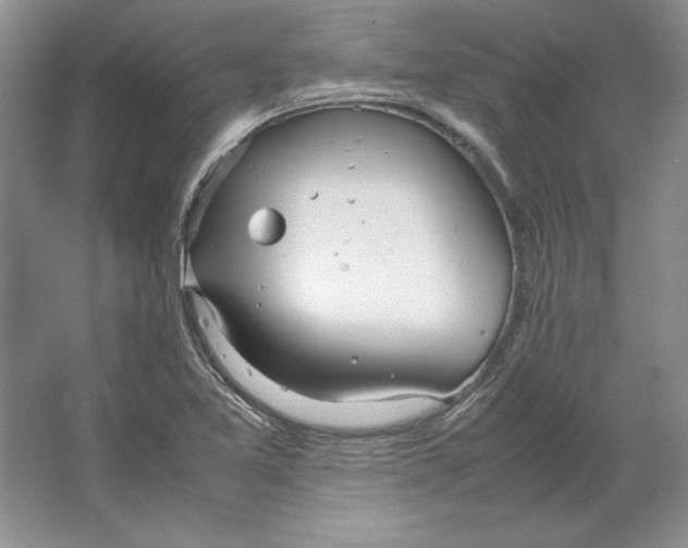 X0000064731365200603031631