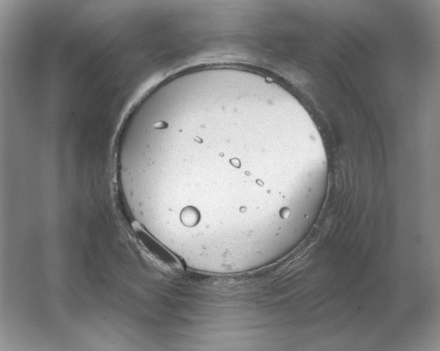 X0000064731366200603031631