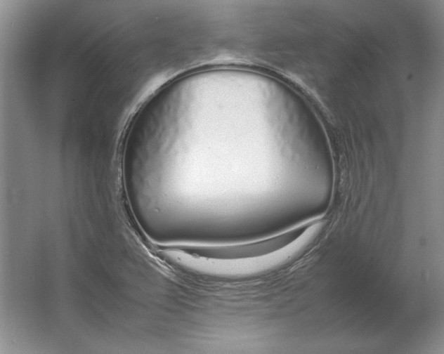 X0000064731367200603031631