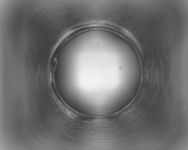 X0000064731368200603031631