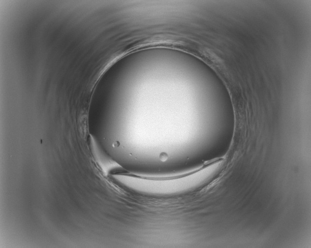 X0000064731369200603031631