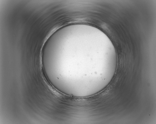 X0000064731370200603031630