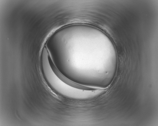 X0000064731371200603031630