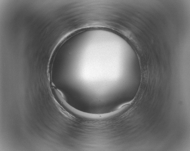 X0000064731372200603031630