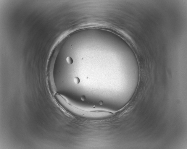 X0000064731373200603031630