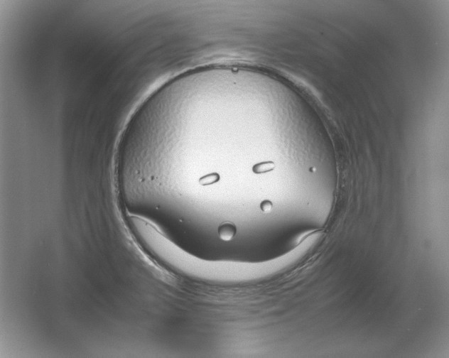 X0000064731375200603031630