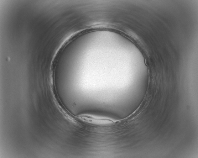 X0000064731376200603031630