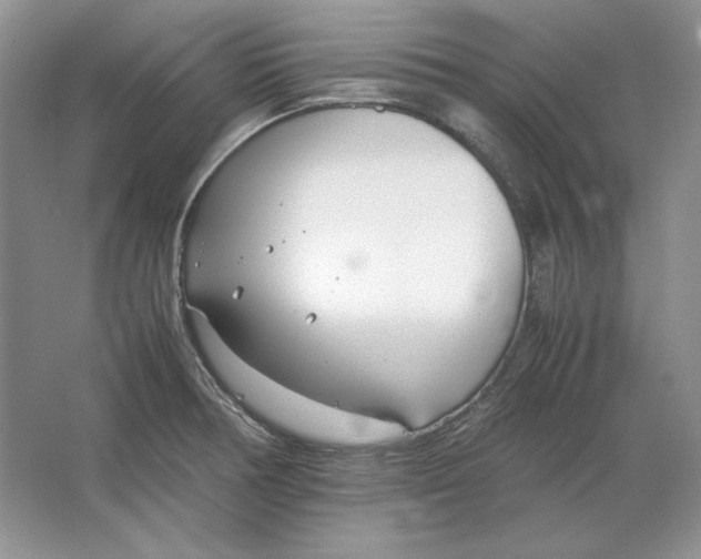 X0000064731378200603031630