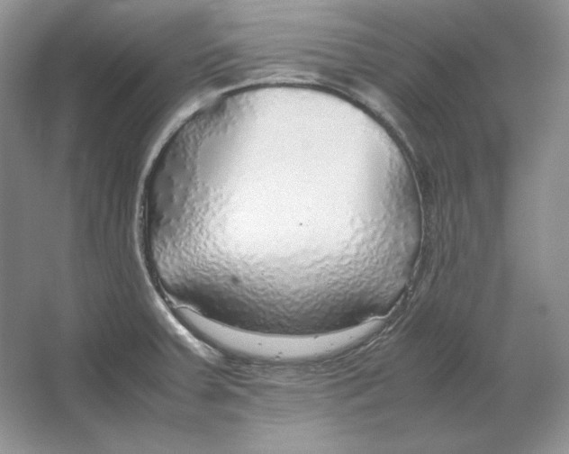 X0000064731379200603031630