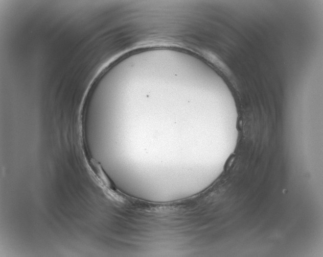 X0000064731380200603031630