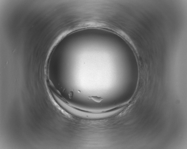 X0000064731381200603031630