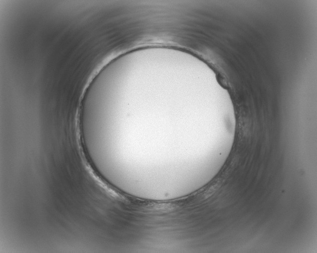 X0000064731382200603031630