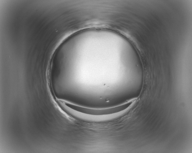 X0000064731383200603031630