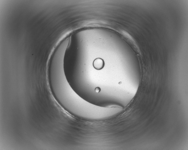 X0000064731384200603031630