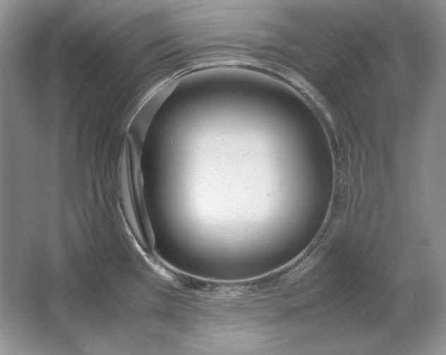 X0000064731385200603031630